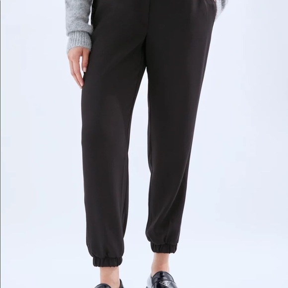 Babaton Forbes Jogger | Aritzia - Picture 3 of 9